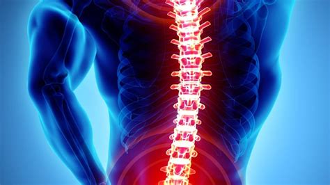 tests for soft tissue ligaments muscles|Tests for Musculoskeletal Disorders .